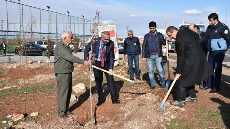 Hilvan yeşille bürünüyor