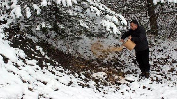 Bartında yaban hayvanları için doğaya yem bırakıldı