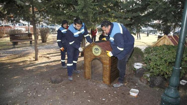 Odunpazarı Belediyesi sokak hayvanlarını unutmadı