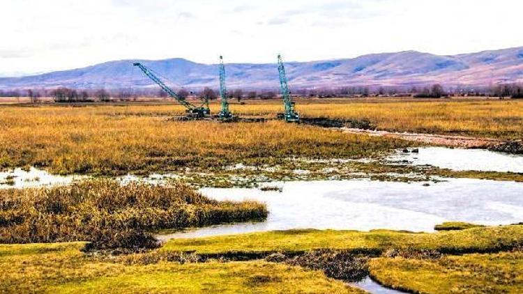 Tokat Kaz Gölü yaban hayatı için temizleniyor