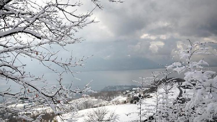 Sapanca Gölünün kapakları açılınca dere akmaya başladı