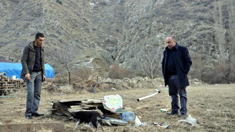 Almanya ve Hollandadan Uludereye sokak hayvanları için yardım gönderdiler