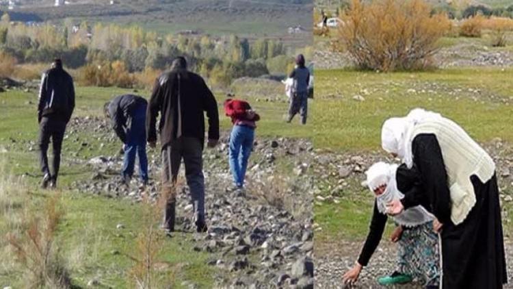 Türkiyede bir anda yeni bir meslek doğdu