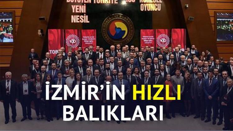 Egenin en hızlı büyüyenleri