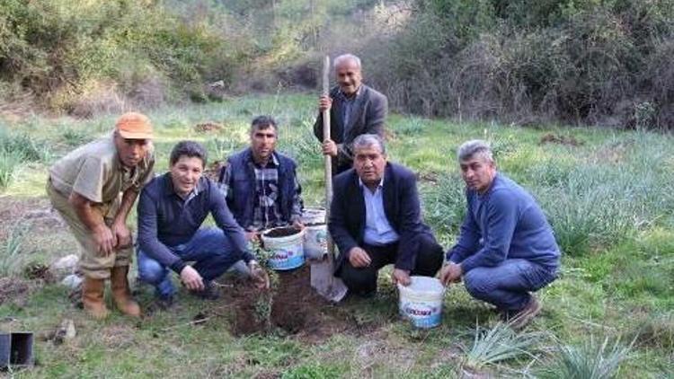 Damla sakızı yeni gelir kapısı olacak