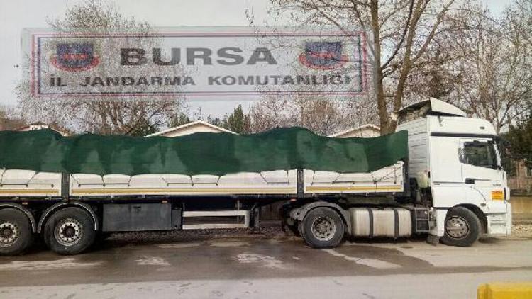 Bursa’da 20 ton kaçak midye ele geçirildi