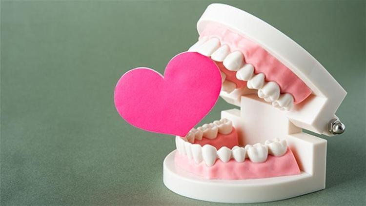 Diş sağlığı kalp sağlığını nasıl etkiliyor