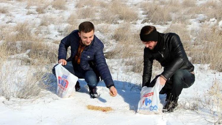 Erzincan’da yaban hayata destek