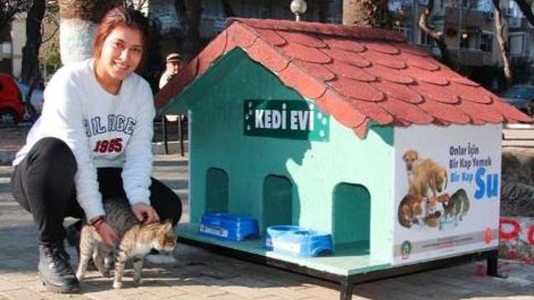 Ödemişte belediyeden kedi evi