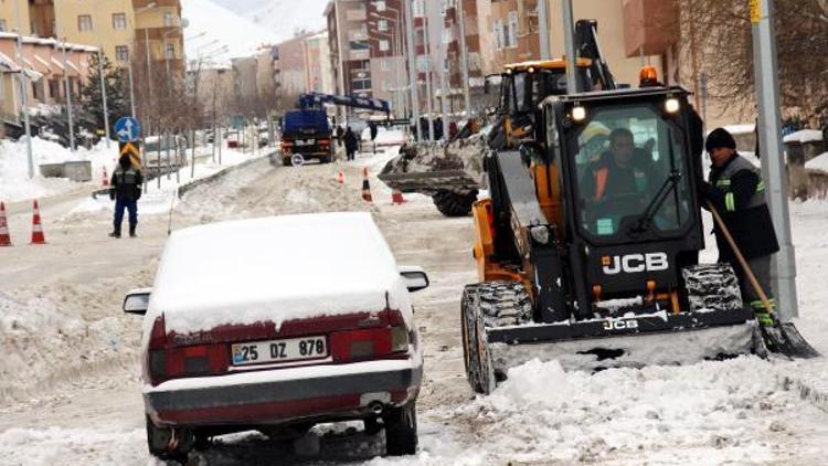 Doğuda kar çilesi (2)