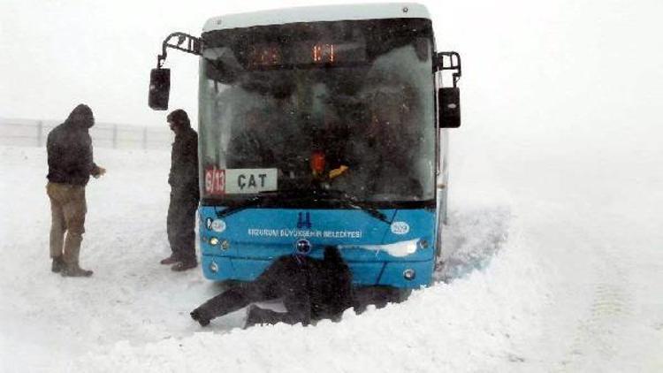 Doğuda kar çilesi (3)