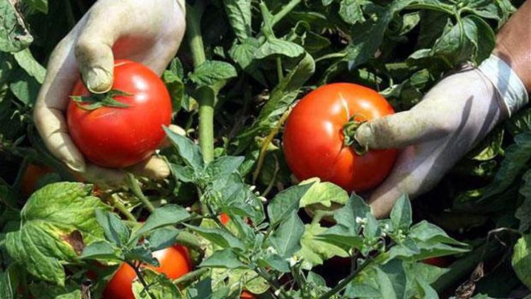 İstanbulda ocakta gıda zamlandı