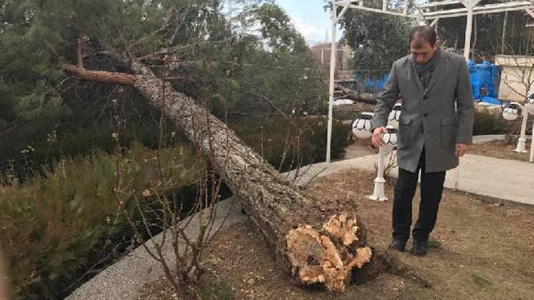 Şiddetli rüzgar çatıları uçurdu