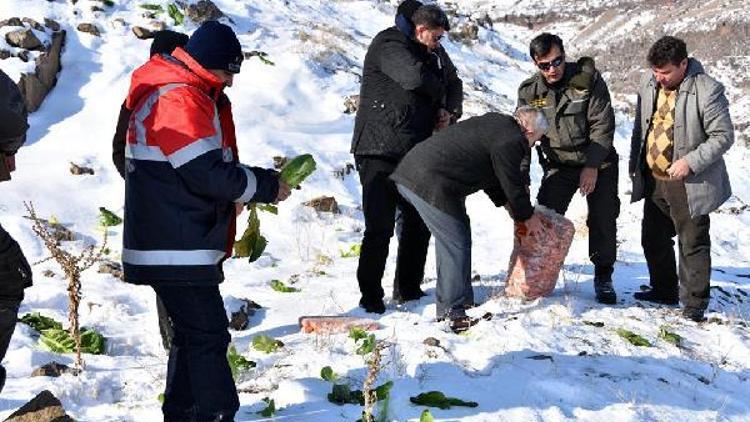 Kocasinan Belediyesi, doğaya 5 ton yem bıraktı