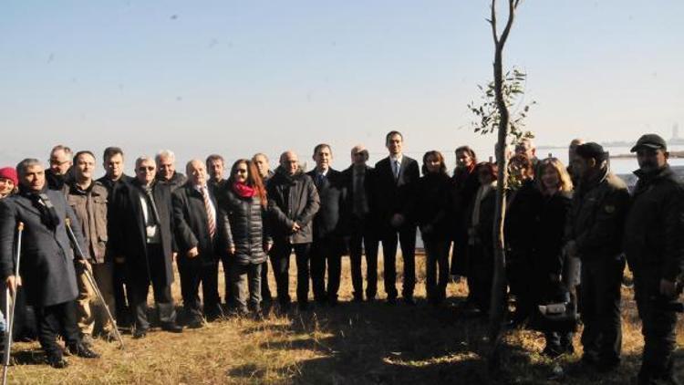 Yalova’daki ‘kuş oteli’ misafirlerini yeniden ağırlıyor