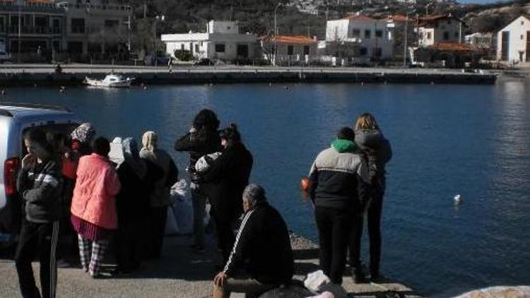 Karaburunda Akdeniz foku heyacanı