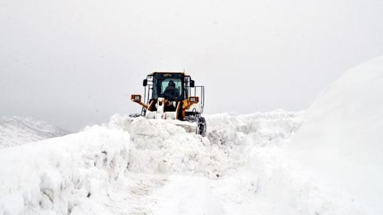 Bitlis’te kardan kapanan 350 köy yolundan 210u açıldı