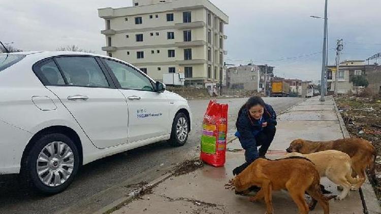 Can dostları için mama kampanyası