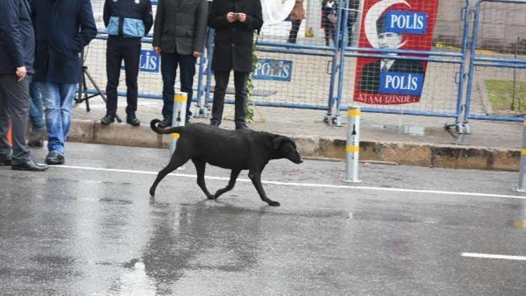 Adliye şehitleri Fethi Sekin ve Musa Can için Kılıçdaroğlunun katılımıyla çifte tören