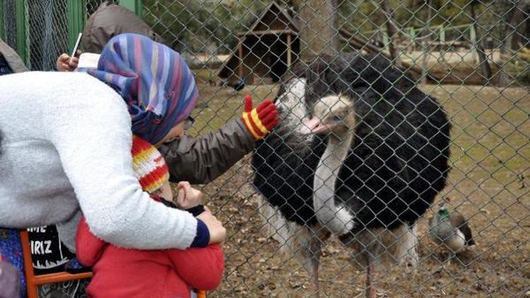 Suriyeli engelli çocuklar, hayvanat bahçesini gezdi