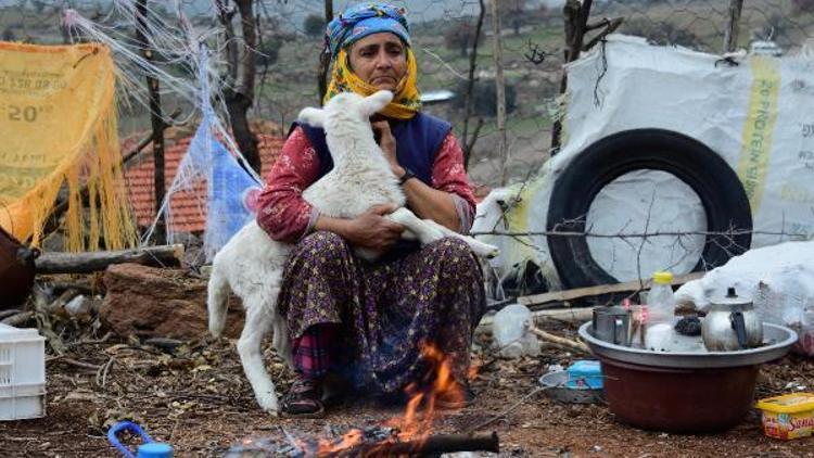 Ayvacık açıklarında 5.5lik deprem; 4 kişi yaralandı, evler hasar gördü -yeniden