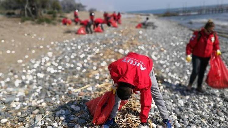 Carettaların yuvalama alanı temizlendi