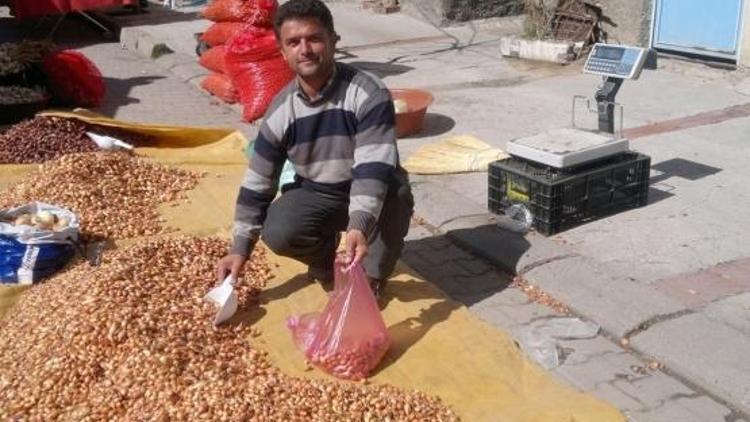 Tohumluk kuru soğanın fiyatı düştü