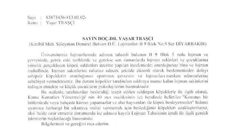 Öğretim üyesine yeniden, sahipsiz köpekleri besleme uyarısı