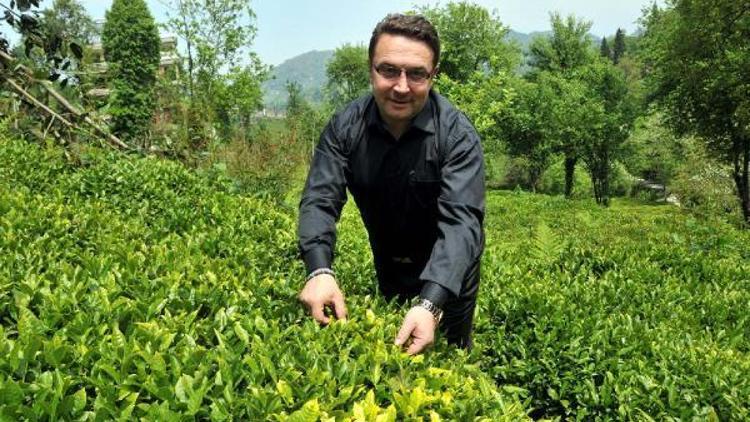 Mehmet Erdoğan: Dünyada organik çay üreten tek ülke olacağız