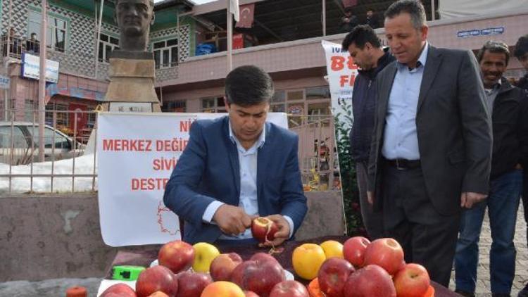 Bir elmadan 5 metre uzunluğunda tek parça kabuk soydu