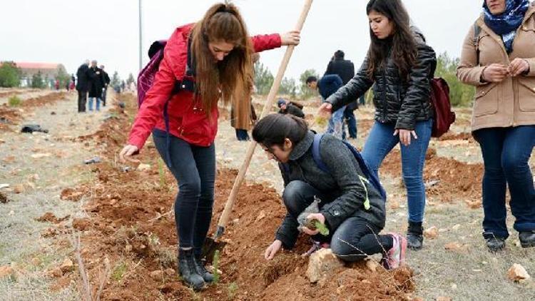 Harran Üniversitesi’nde fidan dikimi