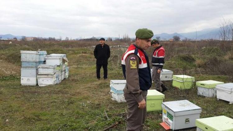 Mudanyada 60 arı kovanı çalan hırsız yakalandı