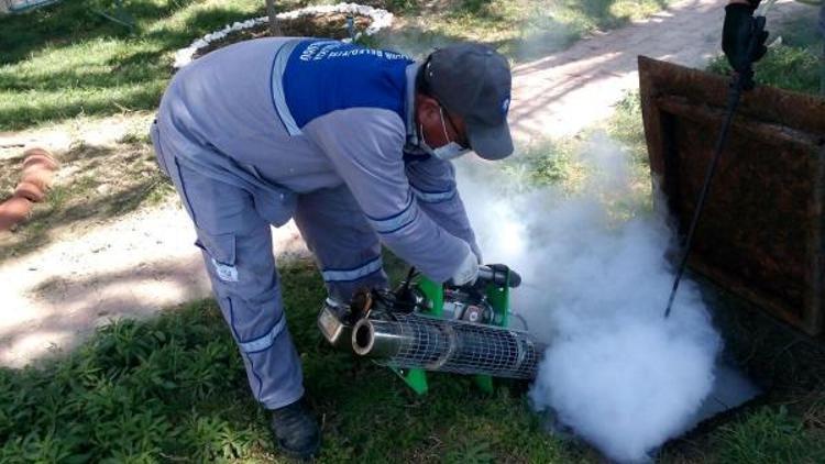 Büyükşehir sivrisinekle mücadele başlattı
