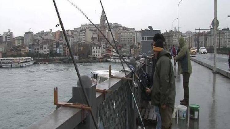 İstanbulda çarşı pazar; balık yok, sebzenin fiyatı çok.