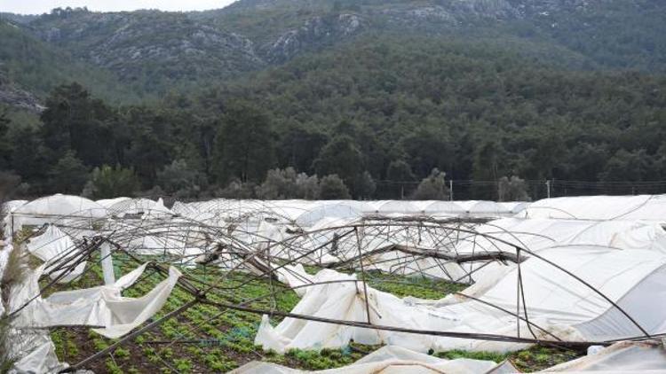 Seraları donan Menderesli üreticiye destek