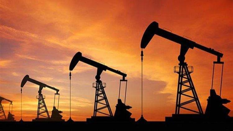 Ham petrol ithalatı mayısta arttı