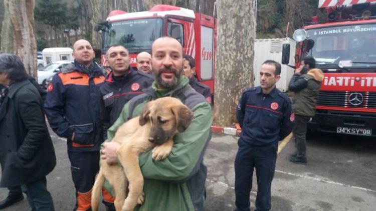 Ek Fotoğraflar //Beykozda kuyuya düşen yavru köpek 10 gün sonra kurtarıldı