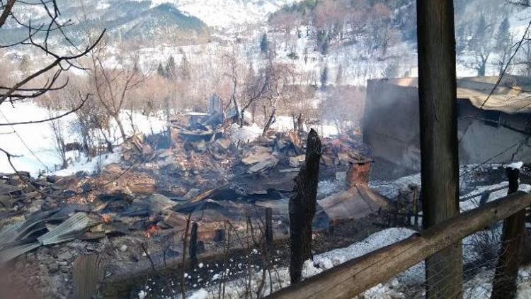 Köydeki 7 ev yanarak kül oldu
