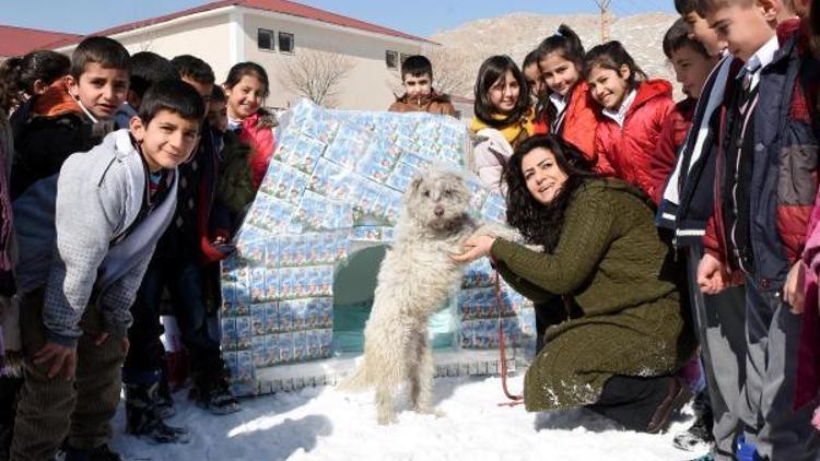 Öğrenciler içtikleri okul sütü kutularından köpek kulübesi yaptı