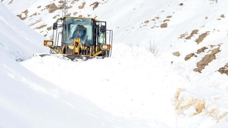 Bitlis’te 12 bin kilometre karlı yol ulaşıma açıldı