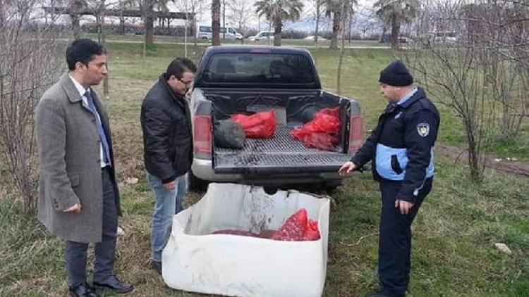 İzmitte 3 bin 550 kilo midyeye el kondu