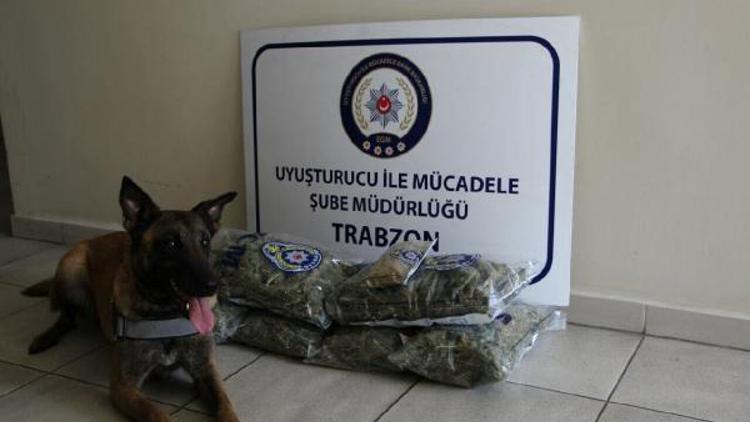 Trabzon’da uyuşturucu operasyonu: 1 gözaltı