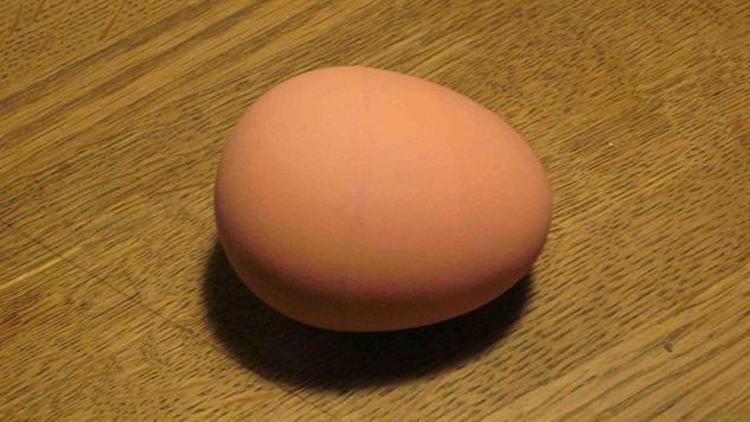 Yumurta üretimi düştü