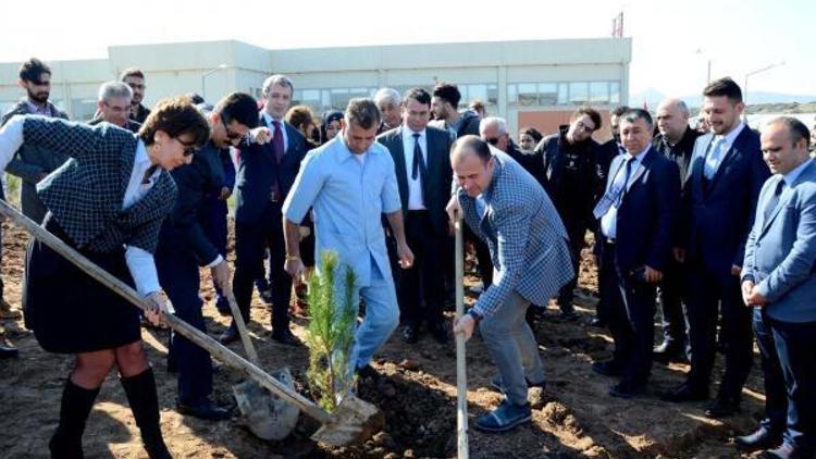 ÇOMÜnün fidanları toprakla buluştu