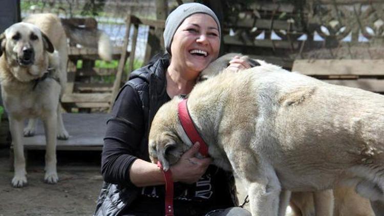 Öğretmenliği bıraktı, veterinerlik eğitimi aldı, kurduğu barınakta 400 köpeğe bakıyor
