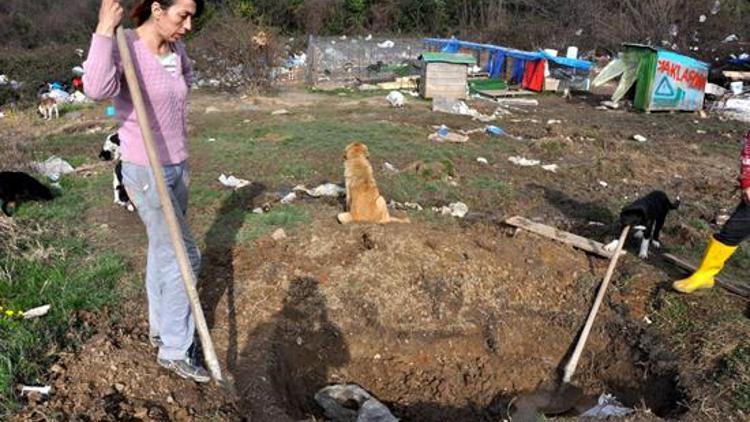 Açlık grevi yapan hayvanseverler kendi mezarlarını kazdı