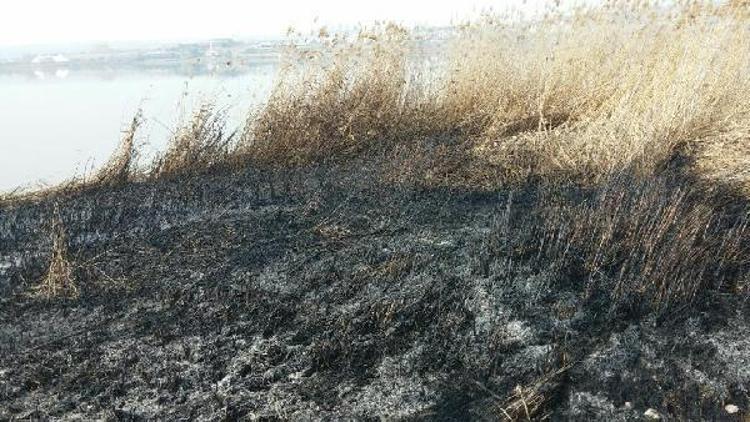 Mogan Gölündeki sazlık alan yandı