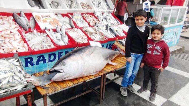 Şanlıurfa’da 122 kiloluk balık görenleri şaşırttı