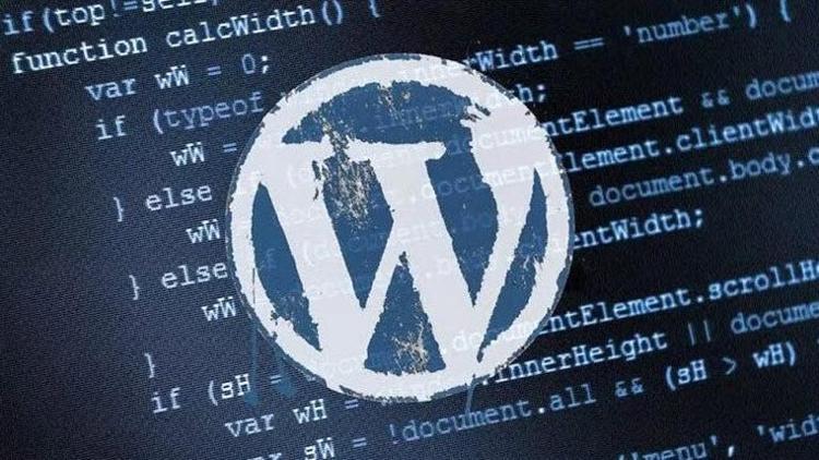 Binlerce WordPress sayfasında tehlikeli açık