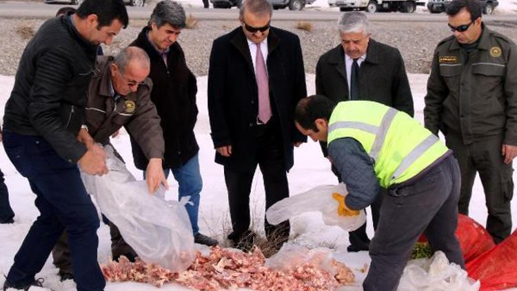 Hacılarda yaban hayvanları için yem bırakıldı